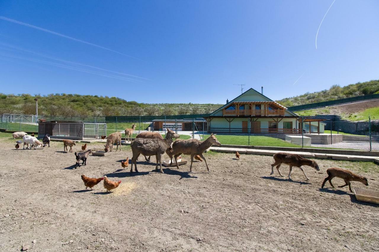 Na Farme Farm stay Kurdejov