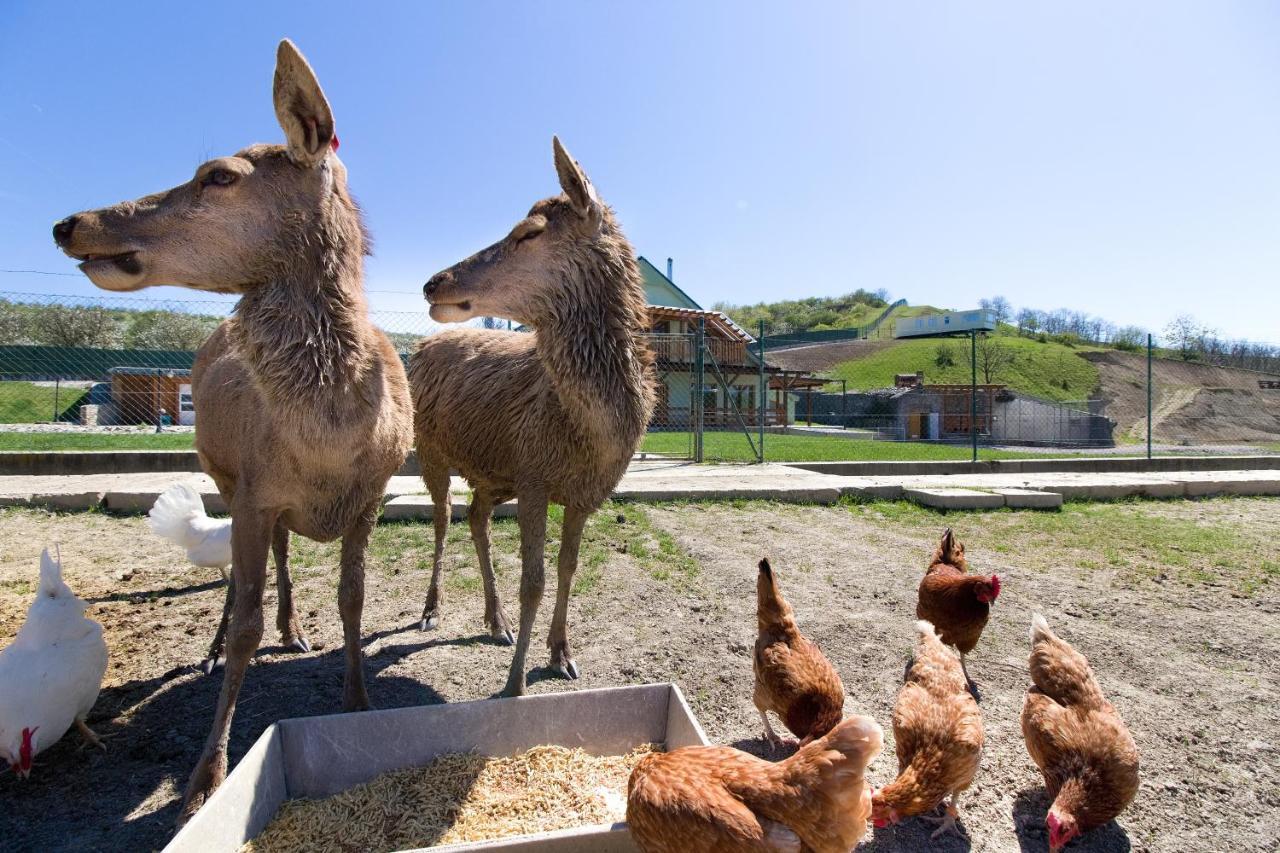 Na Farme Farm stay *
