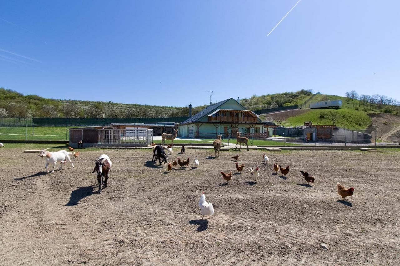 Farma Na Farmě Kurdějov