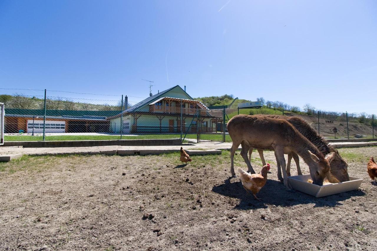 Farm stay Na Farme Kurdejov
