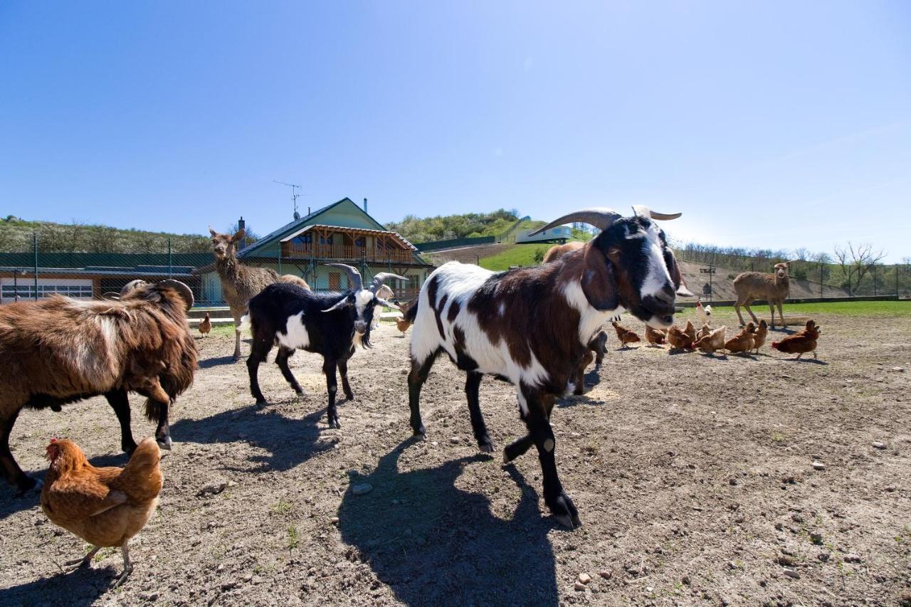Farm stay Na Farme *