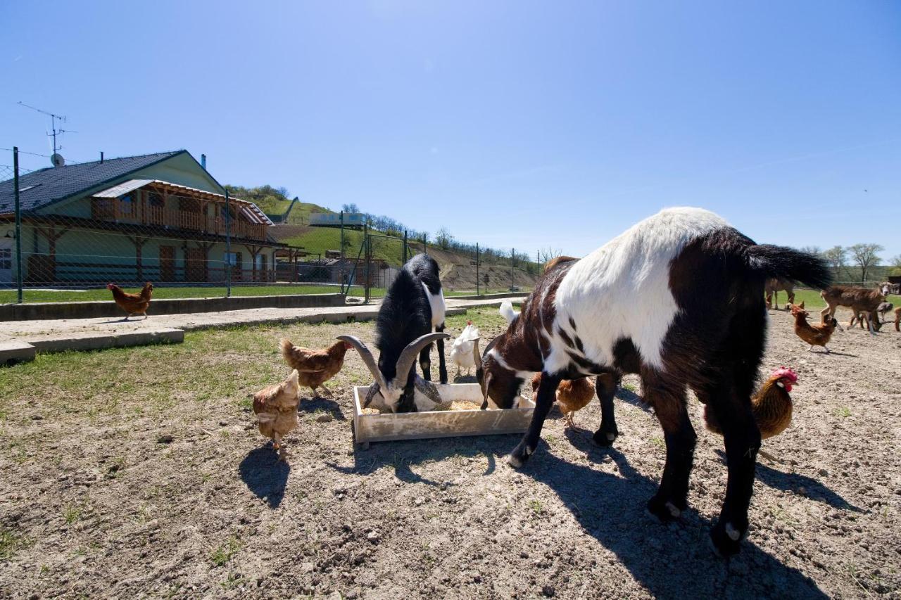 Na Farme * Kurdejov